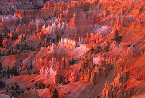 Sunset View Bryce Canyon NP