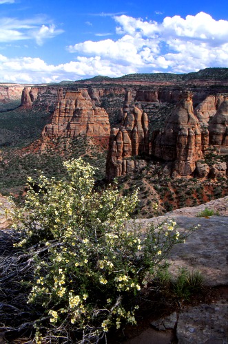 Colorado National Monument