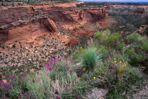 Colorado National Monument