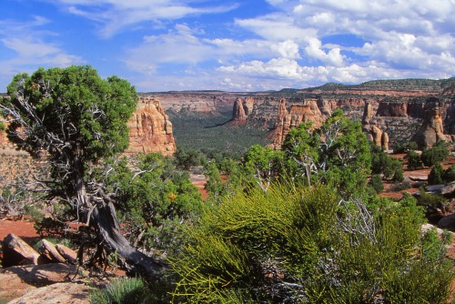 Colorado National Monument