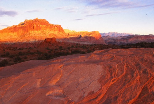 Panorama Point Capitol Reef NP