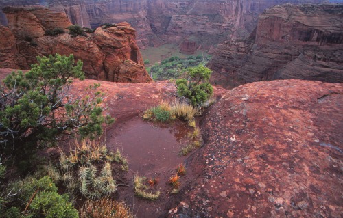 Canyon de Chelly