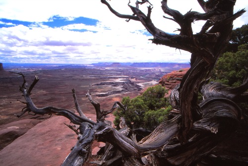 Green River Overlook - Canyonlands NP