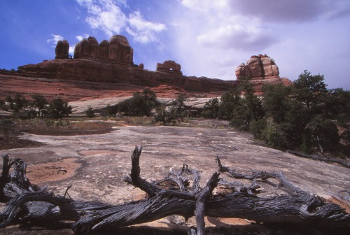 Wooden Shoe Arch - Canyonlands NP
