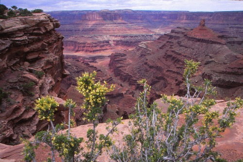 Dead Horse Point State Park