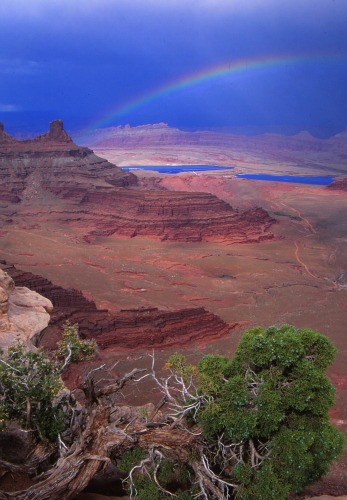 Dead Horse Point State Park