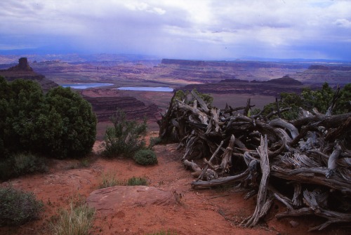 Dead Horse Point State Park