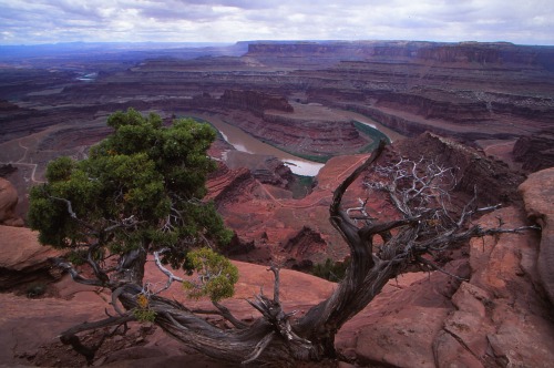 Dead Horse Point State Park