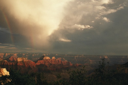 Rainbow Over North Rim - Grand Canyon National Park