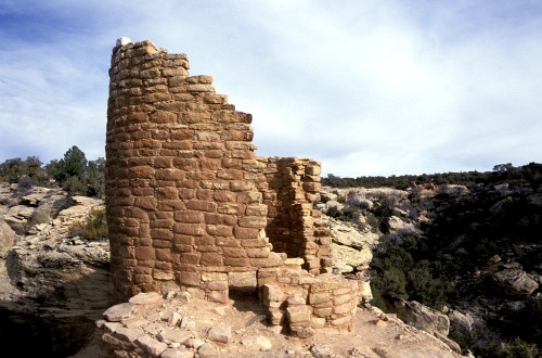 Horse Shoe Ruin - Hovenweep