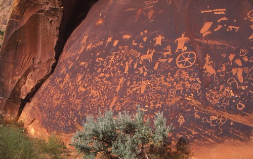 Newspaper Rock