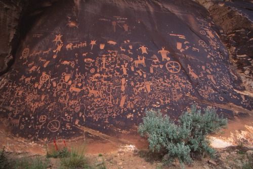 Newspaper Rock