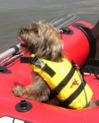 Pet-life-vests-Lake-Powell-Country