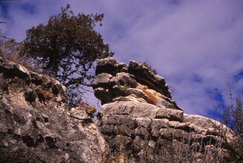 Walnut Canyon National Monument  