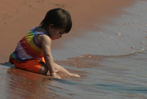 Toddler Playing in Water