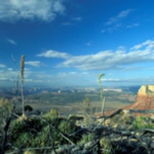 Parashant-Grand Canyon National Monument
