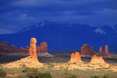 Spires and La Sal Mountains/Arches NP