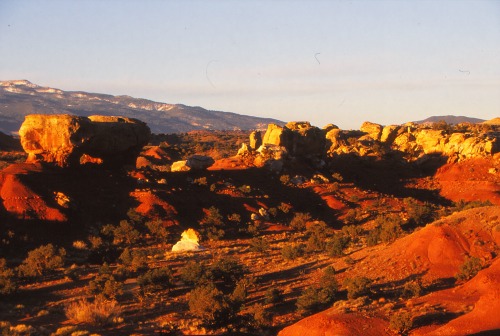 Jumbled Rocks Capitol Reef NP