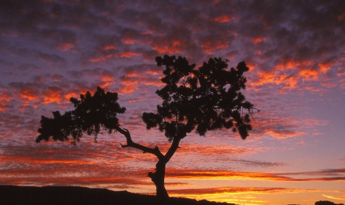 Sunset at Panorama Point Capitol Reef NP