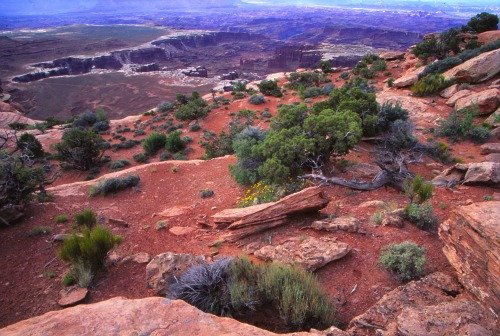 Island in the Sky - Canyonlands NP