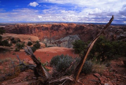 Upheaval Dome - Canyonlands NP