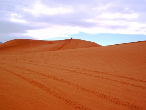 Coral Pink Sand Dunes