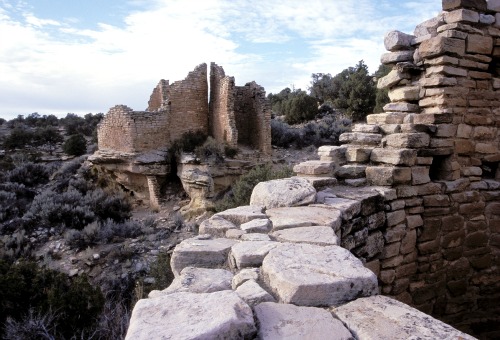 Cutthroat Ruins - Hovenweep 