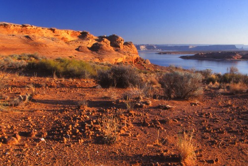 Lake Powell