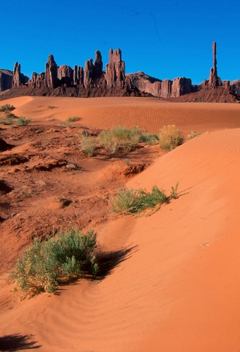 Yei Bi Chei - Totem - Monument Valley