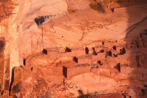 Betatakin Ruins - Navajo National Monument