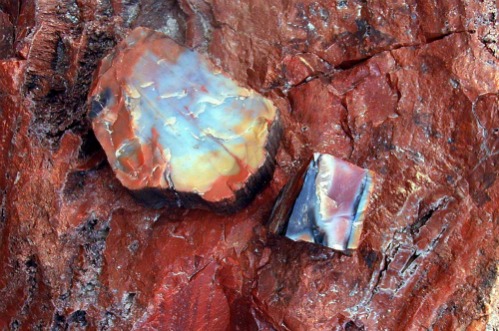 Close Up of Petrified Wood - Petrified Forest National Park