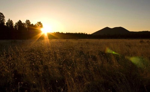 Sunset Crater National Monument