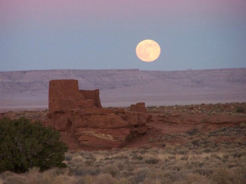 Wupatki National Monument