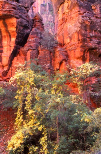 Zion National Park