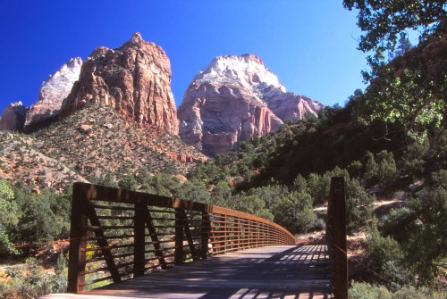  Pa Rus Trail Zion National Park